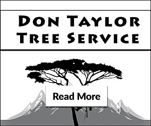 Tree Removal & Pruning