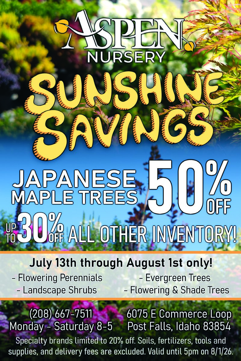 PDF Preview - JAPANESE MAPLE TREES - 50% OFF