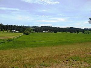 COLBERT, 132 ACRES ON PAVED COUNTY ROAD