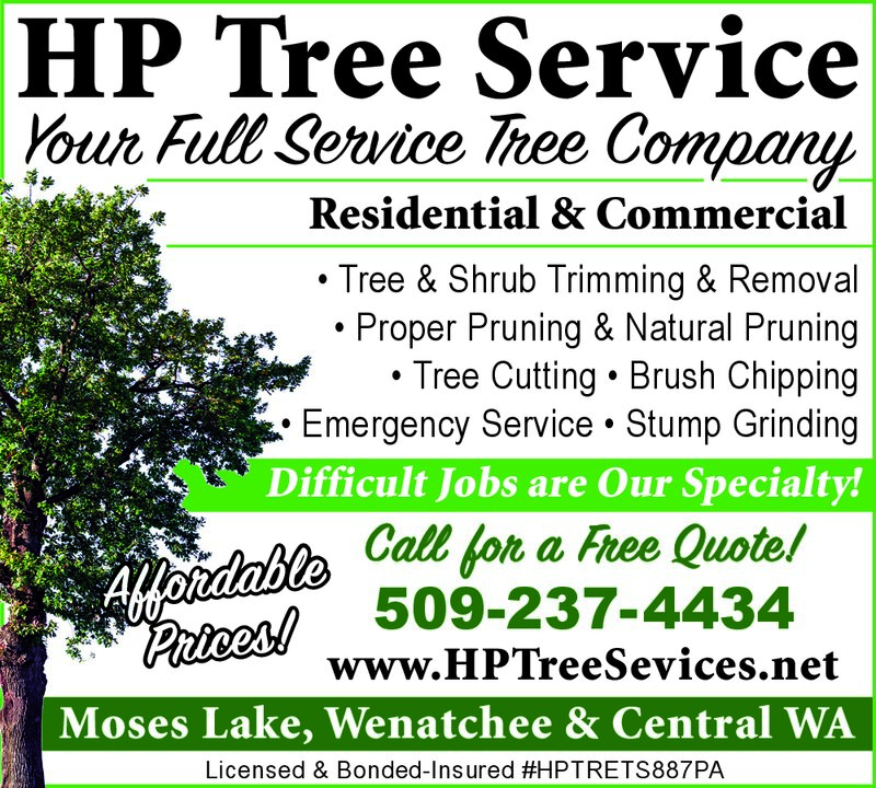PDF Preview - Professional Tree Service