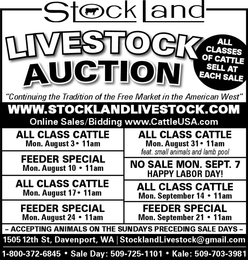PDF Preview - Livestock Auction - Weekly Sales