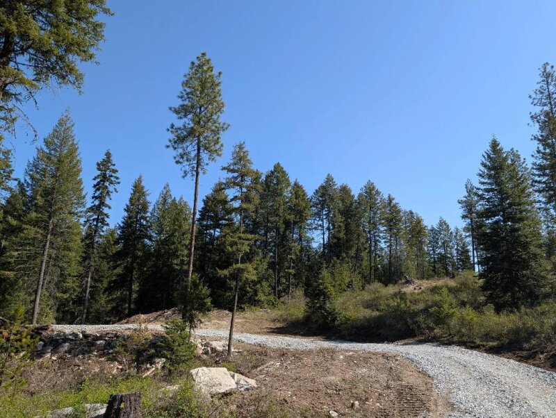 20 ACRES LOCATED CLOSE TO DIAMOND LAKE WITH BIG TIMBER