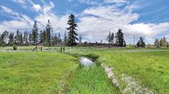 87.16 ACRE PROPERTY WITH POWER & WELL