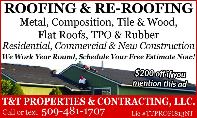 PDF Preview - Professional Roofing Services