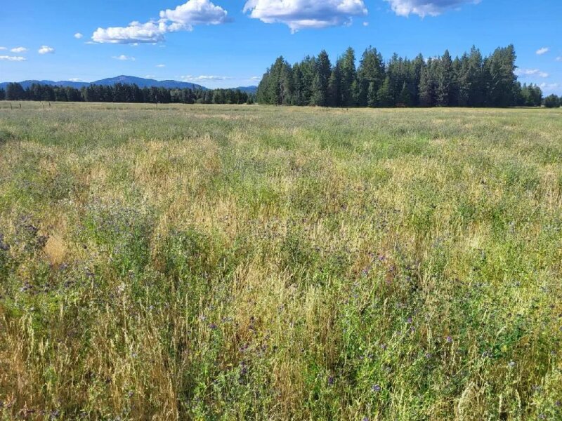 MUST SELL! REDUCED PRICE! 9.86 ACRES OF UNIMPROVED LAND