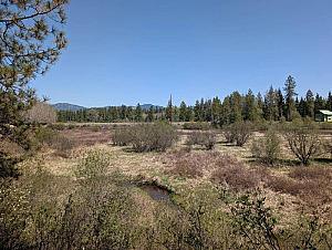 21 ACRES LOCATED NEAR USK WITH FULL IMPROVED HOME SITE