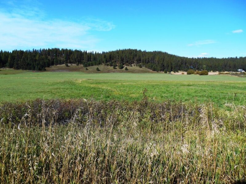 PRIME ACREAGE IN THE COLBERT AREA