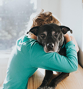 INTERESTED IN LEARNING ABOUT FOSTERING DOGS FOR RESCUE?