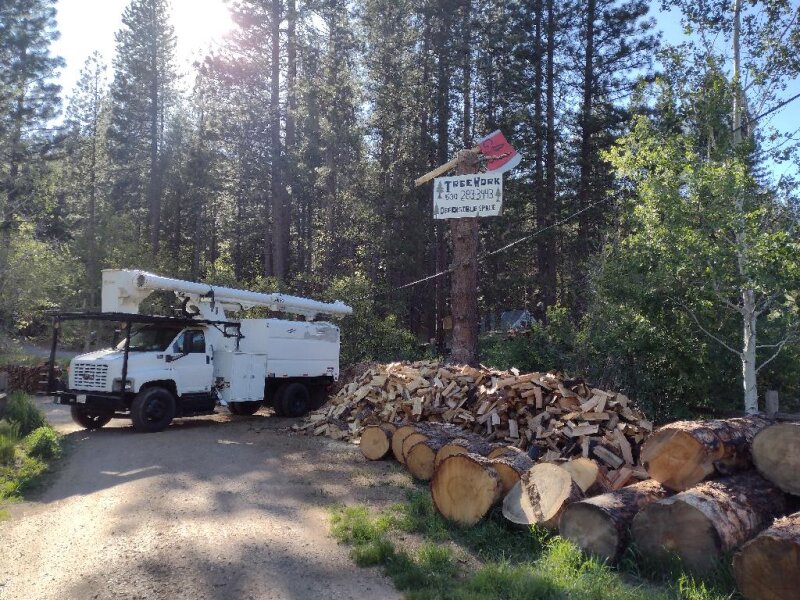 GLEASON'S TREE SERVICE
