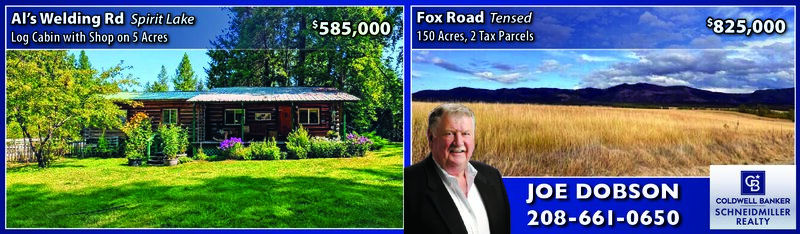 PDF Preview - Luxury Homes in Priest Lake