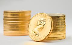 GOLD & SILVER COINS