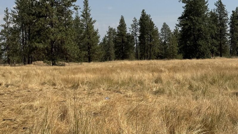 9.34 ACRES, COUNTRY LIVING CLOSE TO SPOKANE!