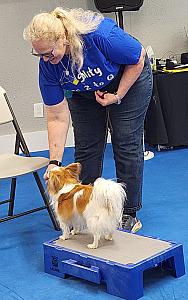 DOG TRICK CLASSES