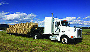 GRASS ROUND BALES
