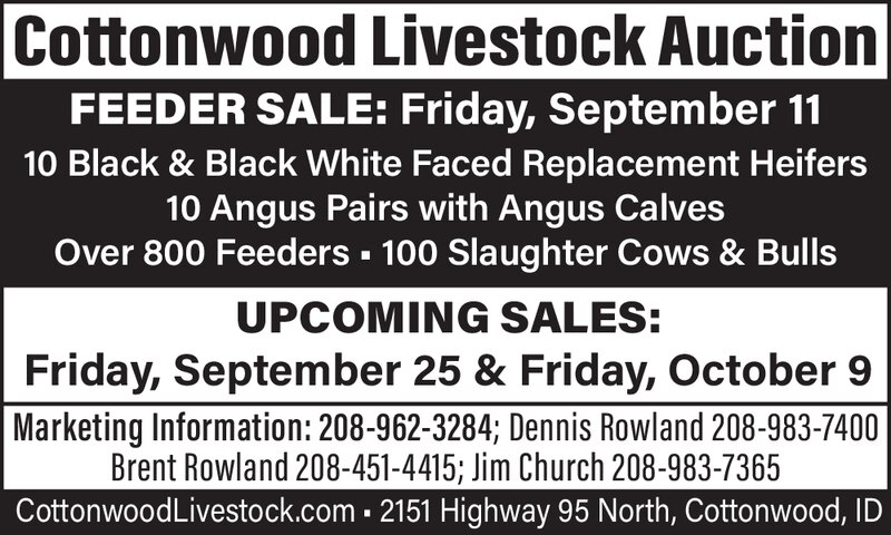 PDF Preview - Cottonwood Livestock Auction