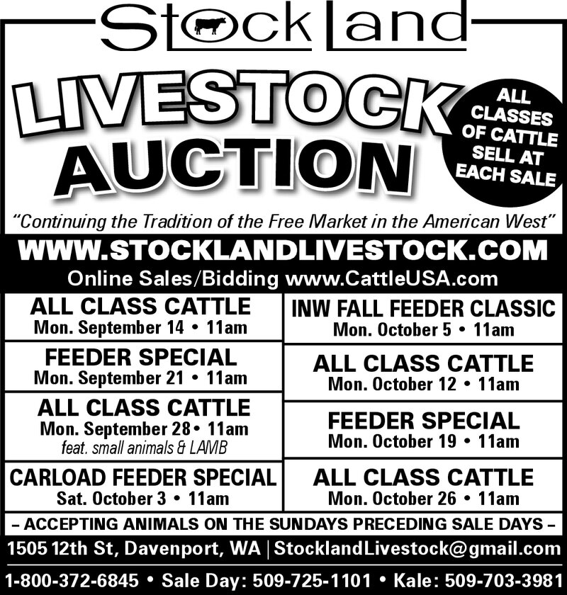 PDF Preview - Livestock Auctions Weekly