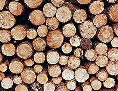 SOFT ROUNDS & SEASONED SPLIT & STACKED FIREWOOD