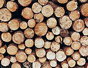 SOFT ROUNDS & SEASONED SPLIT & STACKED FIREWOOD