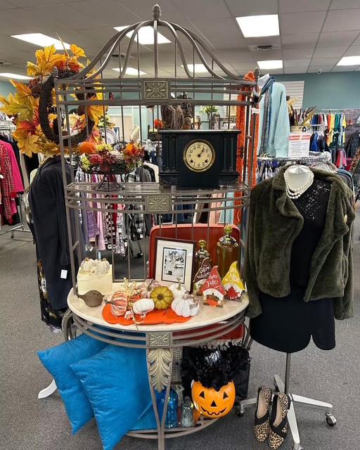 DISCOVERY SHOP HAS EVERYTHING FOR FALL & HALLOWEEN!