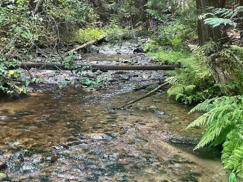 90 ACRES, YEAR-ROUND CREEK, CABINS, PUBLIC LAND 