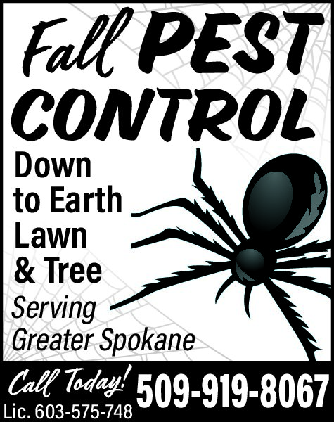 PDF Preview - Ad 496745