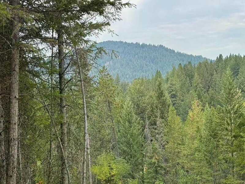 6.64 ACRES, WELL, POWER & BUILD SITE READY