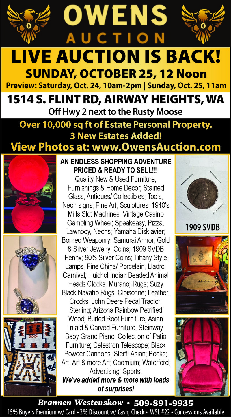 PDF Preview - Ad 497514