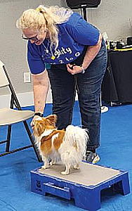 JE DOG TRAINING LEARN TO TRAIN YOUR DOG