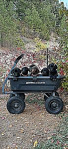 AKC LABRADOR RETRIEVER PUPPIES