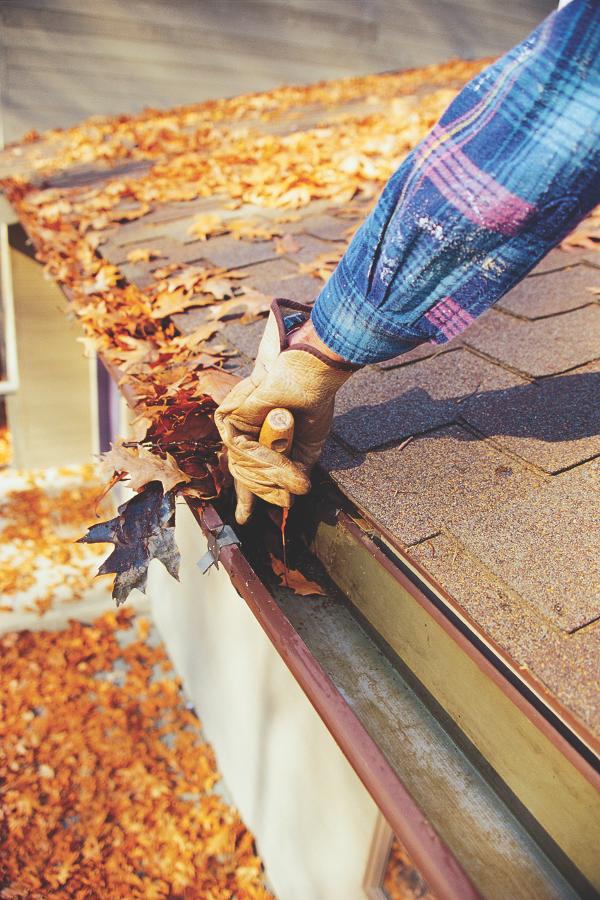 GUTTER CLEANING, WINTER IS AROUND THE CORNER!