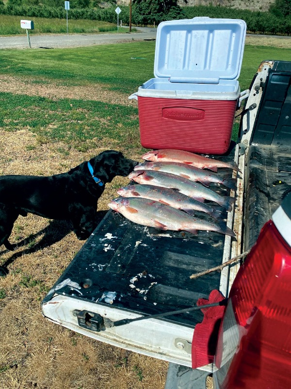 Ray Jay with several fish! Good Boy!