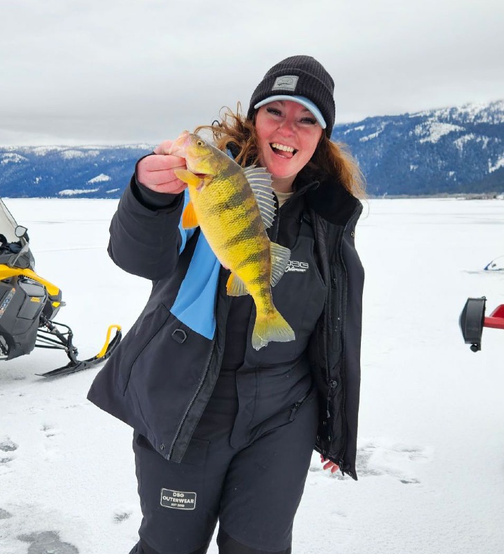 Tawney with an icy perch