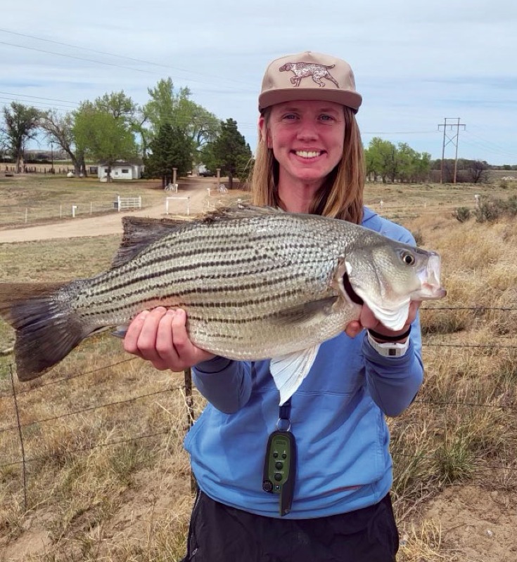 Dr. Jenna - Striped Bass