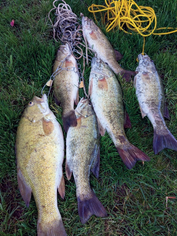 John Randolph's string of bass!