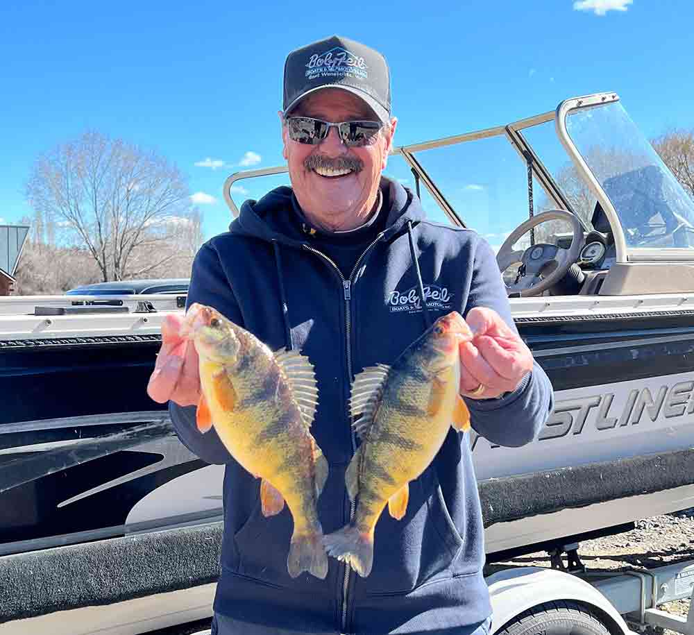 Dave Graybill holds two jumbo perch caught below the I-90 Bridge on Moses Lake during a windy spring morning outing.