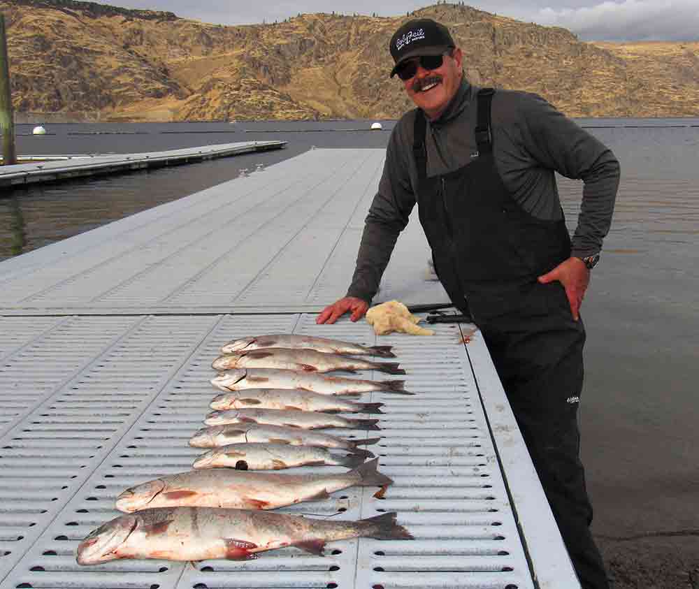 A great catch of rainbow trout photographed at the boat launch in Spring Canyon Park.
