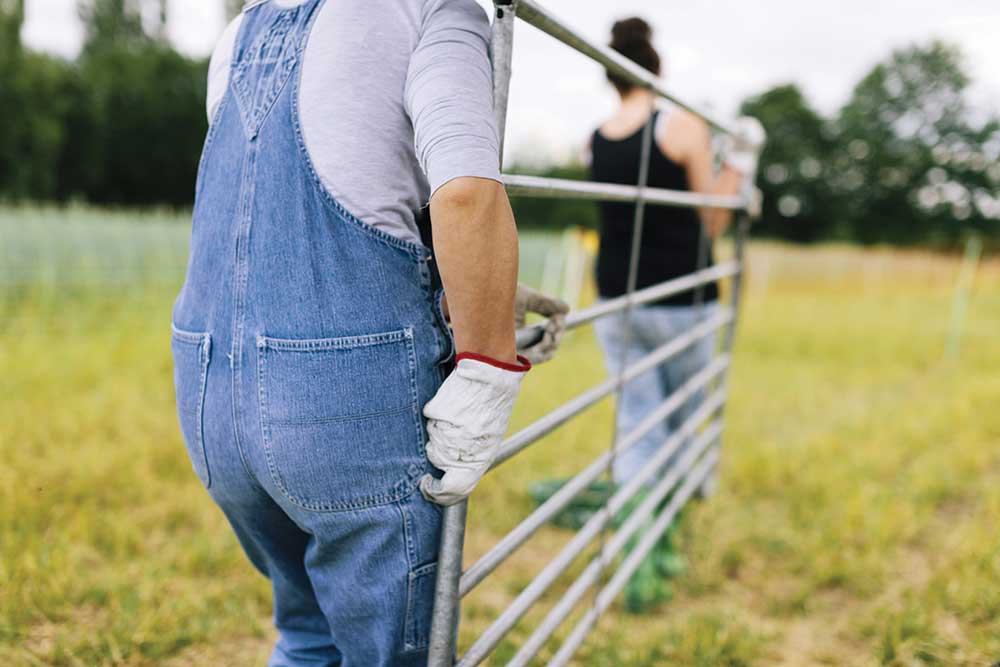 Easments, a Property Right 