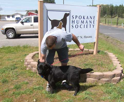 Thomas S. Ventimiglia, USMC Iraq Vet