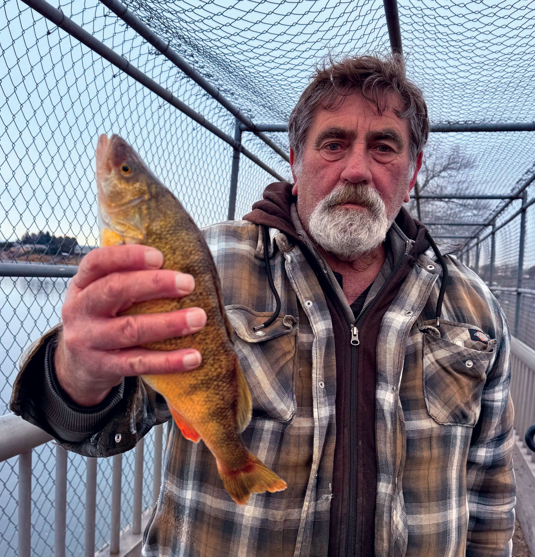 The Fishing Magician: It Looks Like Wintery Weather is Here!