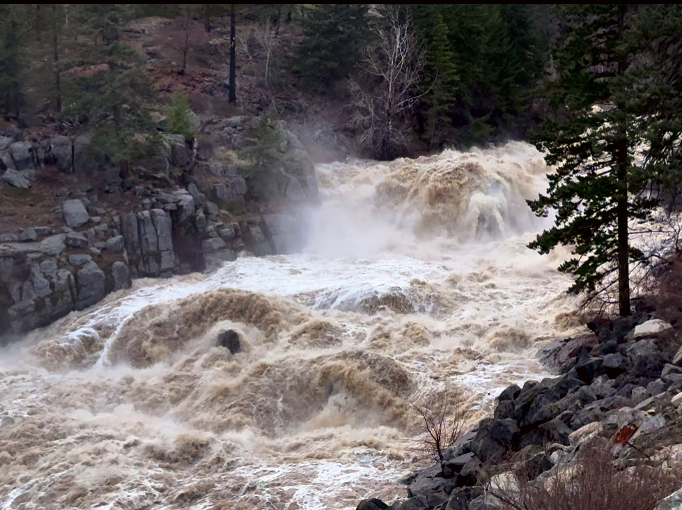 The Fishing Magician: December 19, 2025