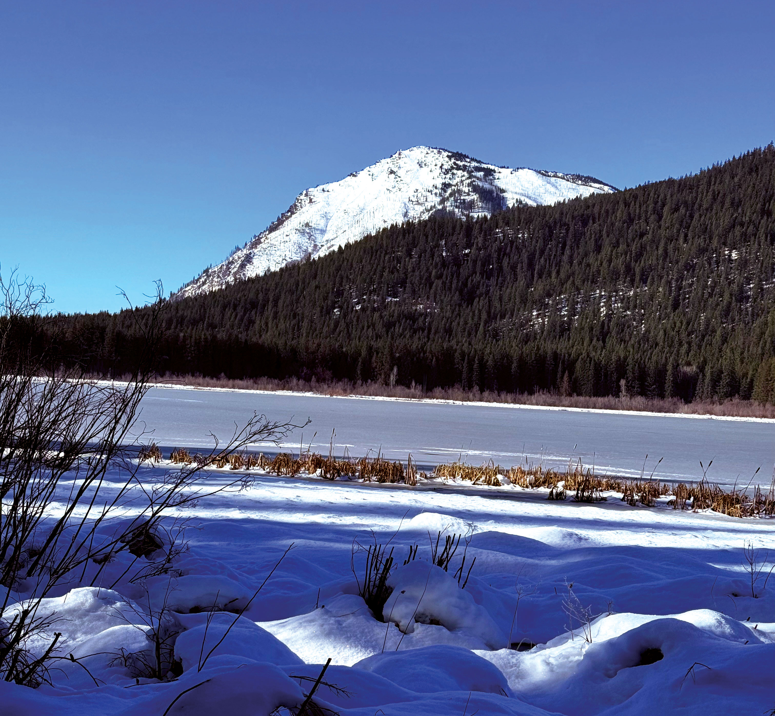 The Fishing Magician: January 23, 2026