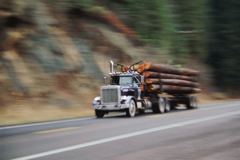 Timber Management Plan